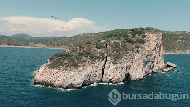 YouTube fenomeni Orkun Işıtmak 20 metre yükseklikten denize atladı