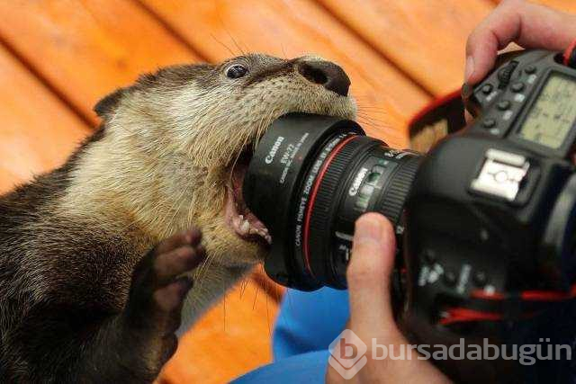 Günün en çok paylaşılan fotoğrafları
