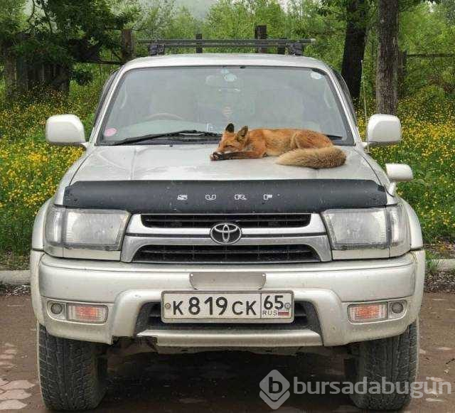 Günün en çok paylaşılan fotoğrafları
