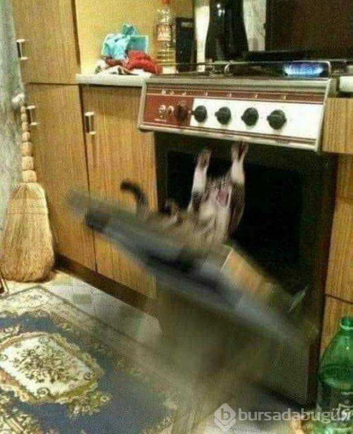 Günün en çok paylaşılan fotoğrafları
