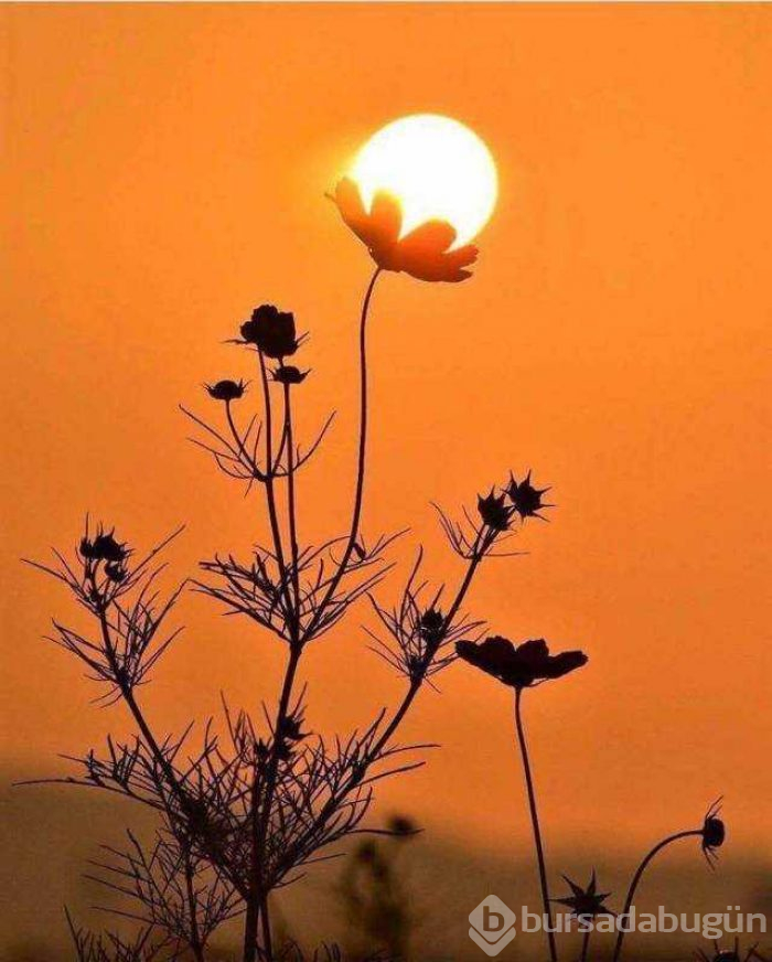 Günün en çok paylaşılan fotoğrafları
