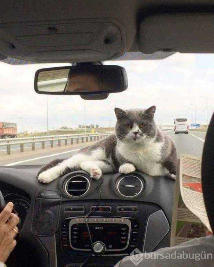 Günün en çok paylaşılan fotoğrafları
