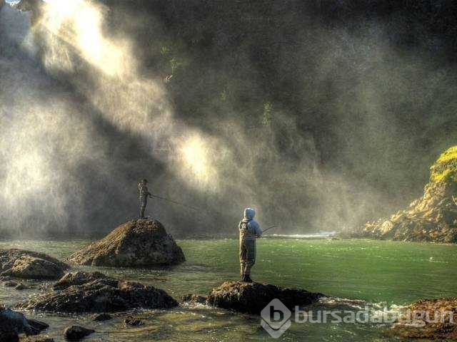 Günün en çok paylaşılan fotoğrafları
