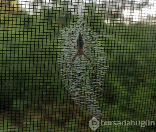 Günün en çok paylaşılan fotoğrafları
