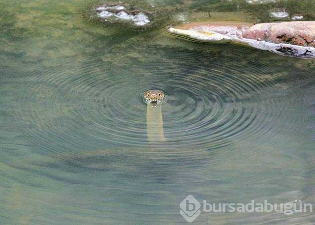 Günün en çok paylaşılan fotoğrafları

