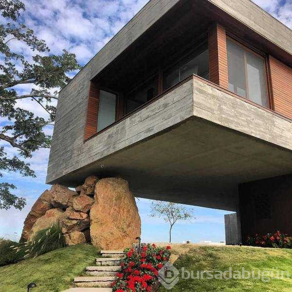Günün en çok paylaşılan fotoğrafları

