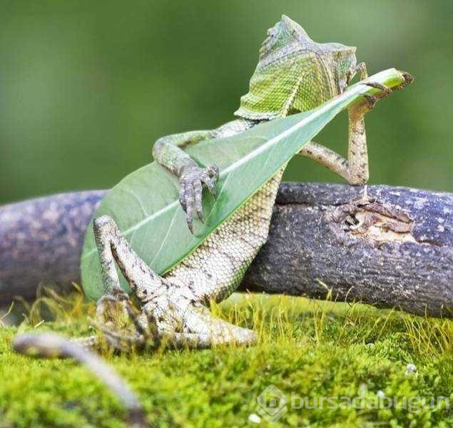 Günün en çok paylaşılan fotoğrafları
