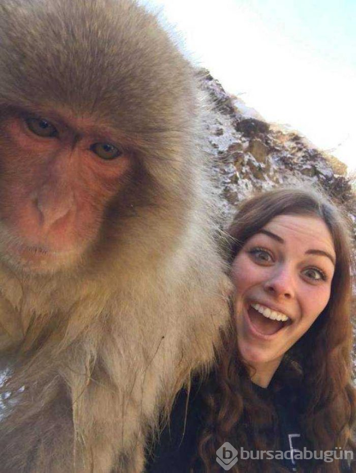 Günün en çok paylaşılan fotoğrafları
