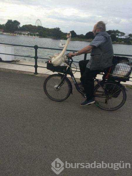 Günün en çok paylaşılan fotoğrafları
