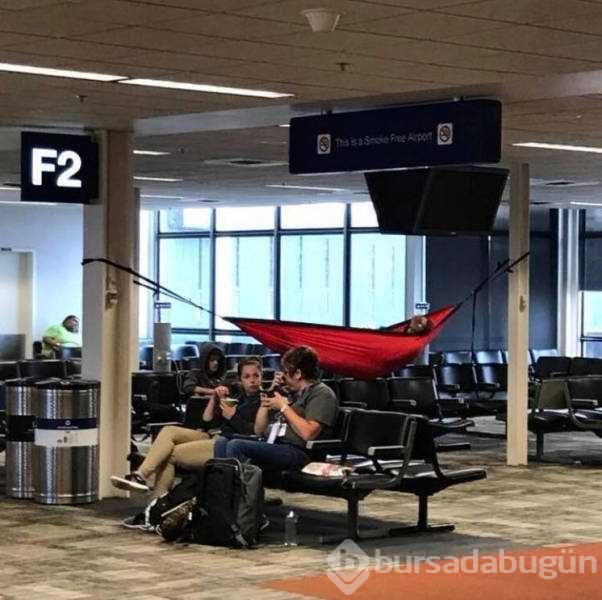 Günün en çok paylaşılan fotoğrafları
