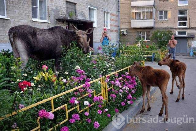 Günün en çok paylaşılan fotoğrafları
