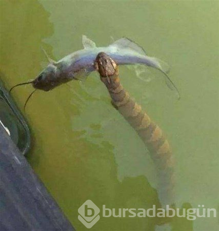 Dünyanın en korkunç anları
