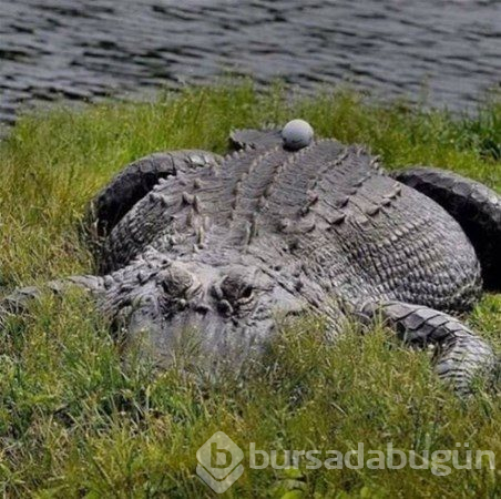 Dünyanın en korkunç anları
