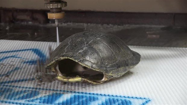 Çılgın baba oğul yine takipçilerini şaşırttı