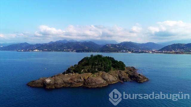 Herkül ve Amazon kadınlarının yaşadığı mitolojik Giresun Adası