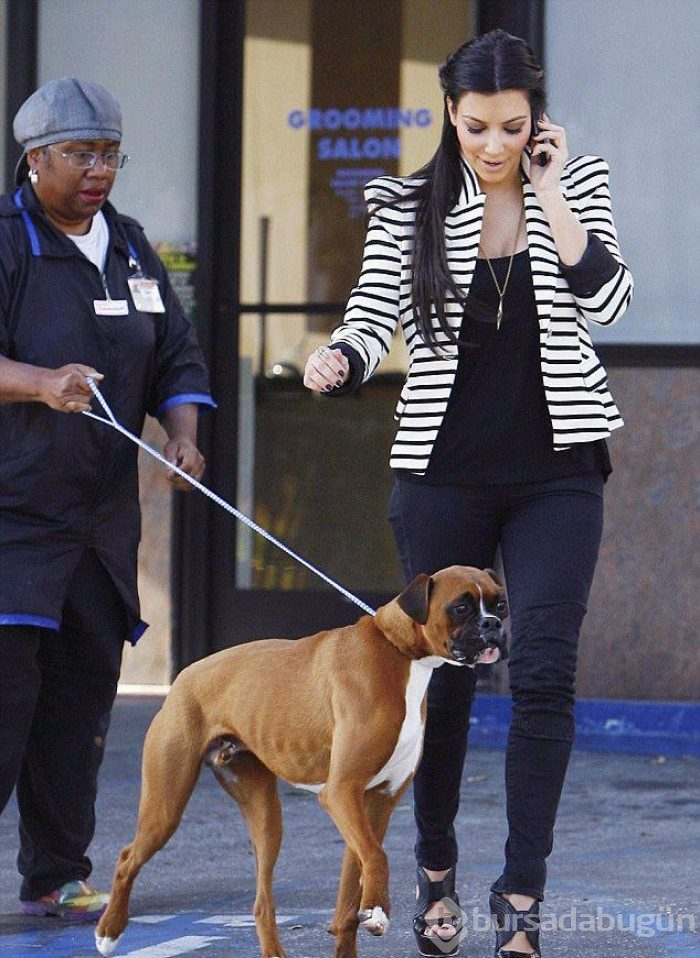 Kim Kardashian köpeğine estetik yaptırdı