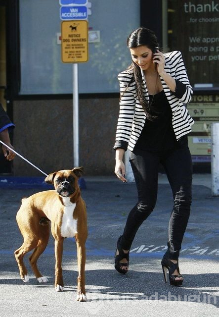 Kim Kardashian köpeğine estetik yaptırdı