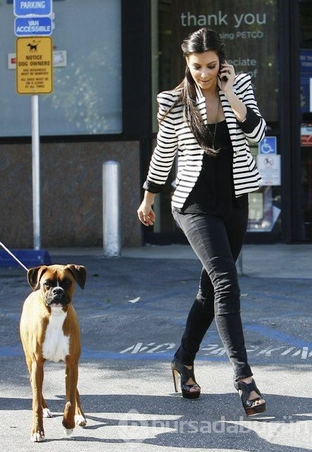 Kim Kardashian köpeğine estetik yaptırdı