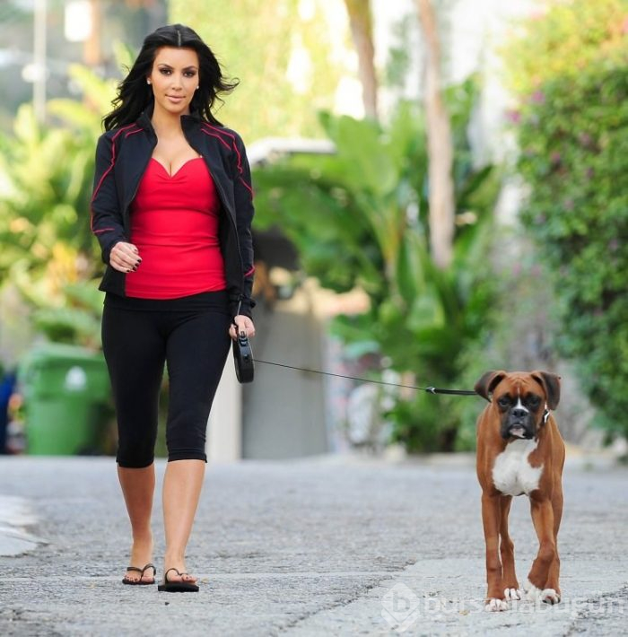Kim Kardashian köpeğine estetik yaptırdı