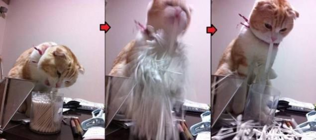 Sosyal medyada günün en çok paylaşılan fotoğrafları

