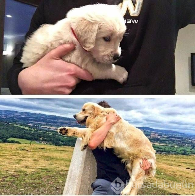 Sosyal medyada günün en çok paylaşılan fotoğrafları
