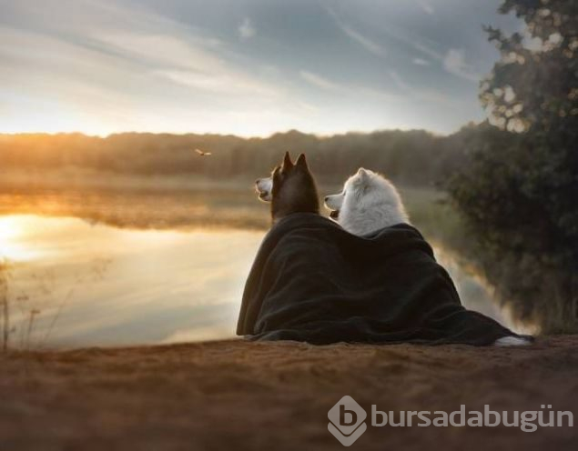 Sosyal medyada günün en çok paylaşılan fotoğrafları
