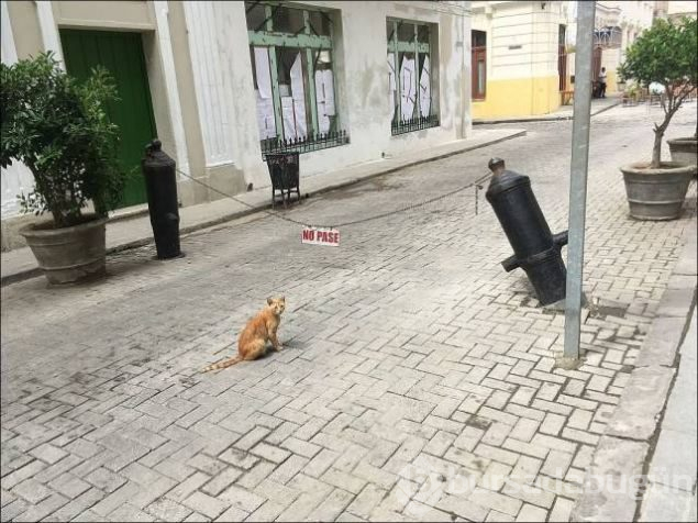 Sosyal medyada günün en çok paylaşılan fotoğrafları
