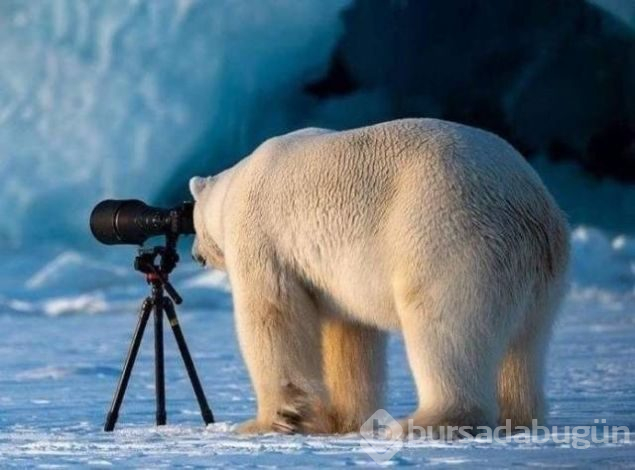 Sosyal medyada günün en çok paylaşılan fotoğrafları
