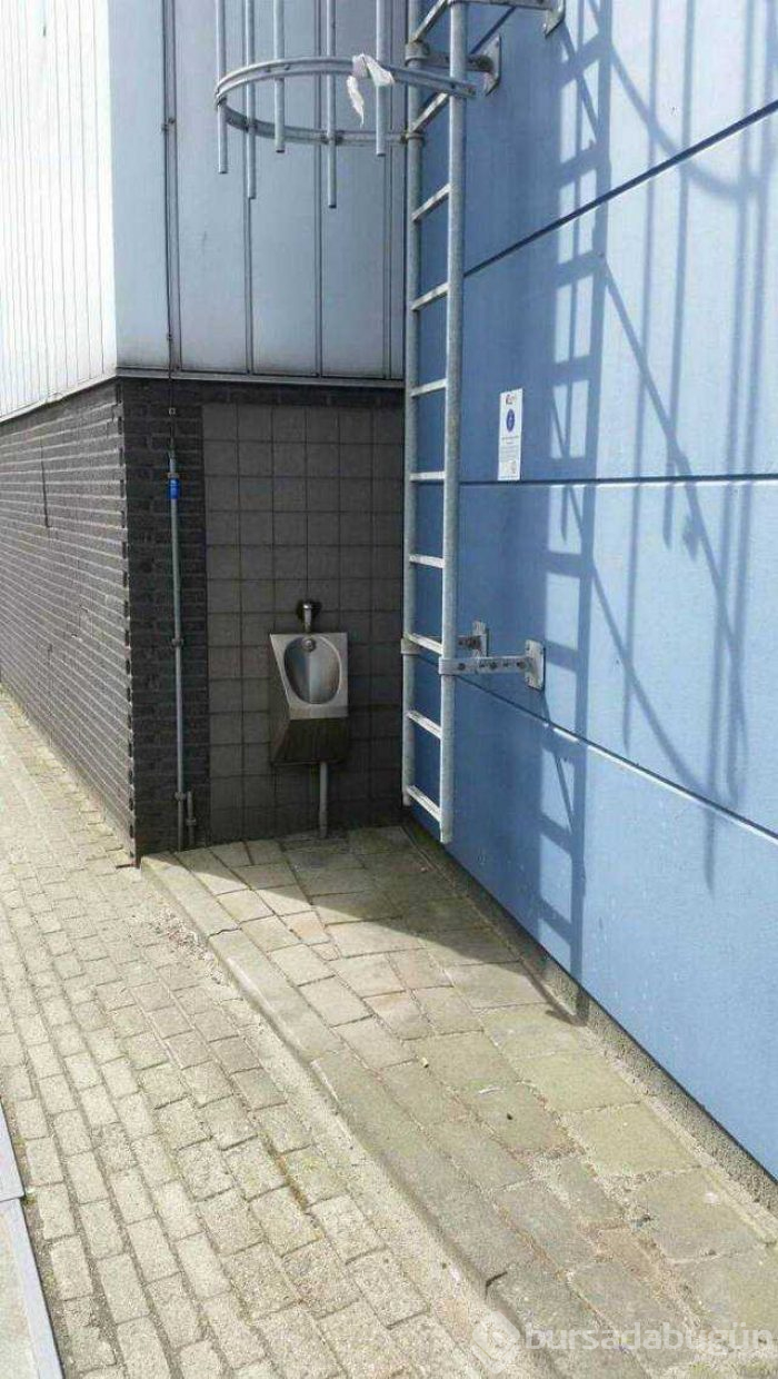 Günün en çok paylaşılan fotoğrafları
