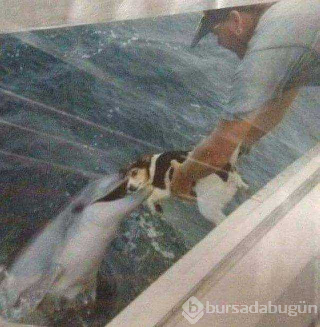 Günün en çok paylaşılan fotoğrafları
