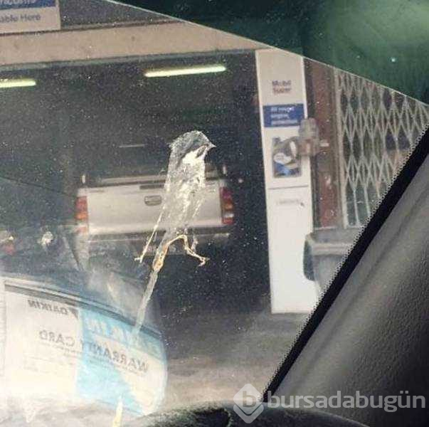 Günün en çok paylaşılan fotoğrafları
