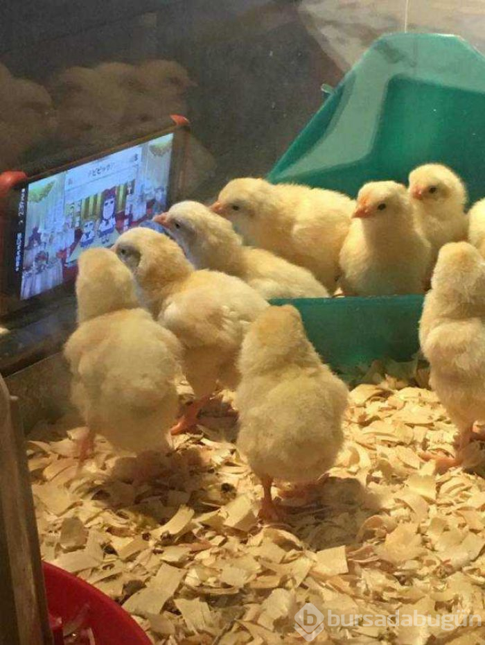 Günün en çok paylaşılan fotoğrafları
