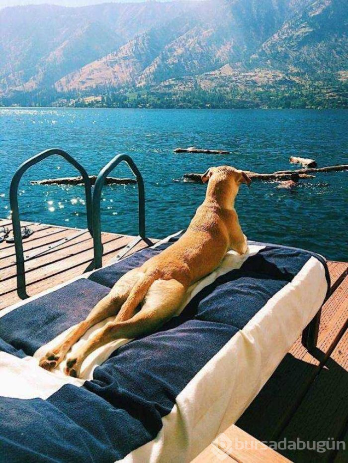 Günün en çok paylaşılan fotoğrafları
