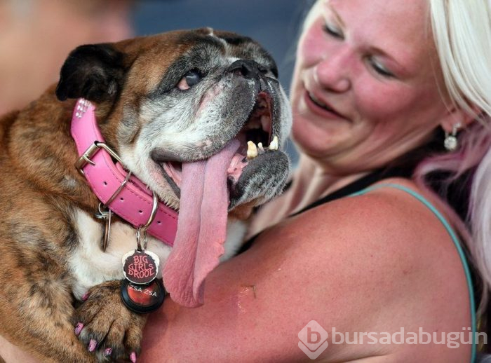 Dünyanın en çirkin köpeği Zsa Zsa öldü
