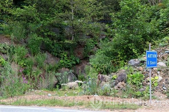 Rize ile Artvin illeri arasındaki plaj, sınır anlaşmazlığına yol açtı
