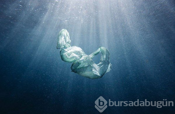 En iyi doğa fotoğrafları
