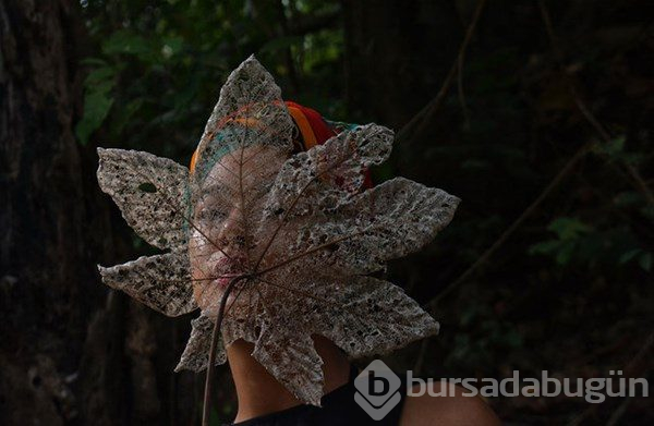 En iyi doğa fotoğrafları
