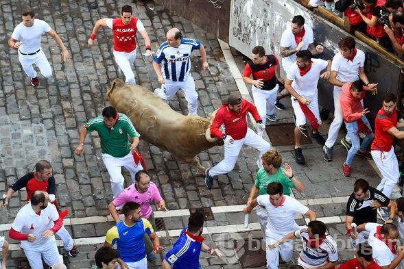 San Fermin Festivali'nde 10 kişi yaralandı
