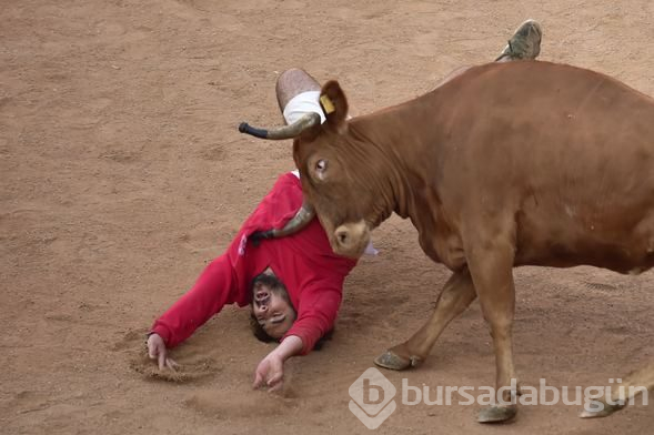 San Fermin Festivali'nde 10 kişi yaralandı
