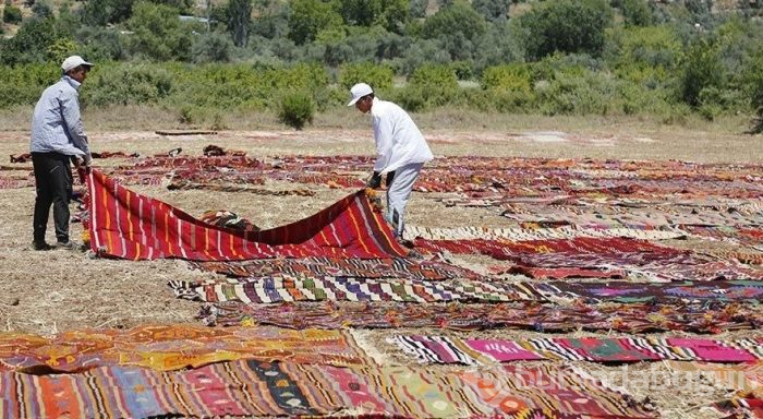 Antalya'da tarlalar halı açtı (Antalya'nın halı tarlaları)