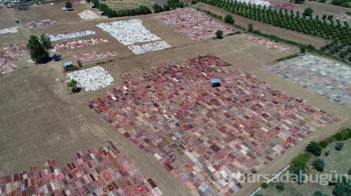 Antalya'da tarlalar halı açtı (Antalya'nın halı tarlaları)