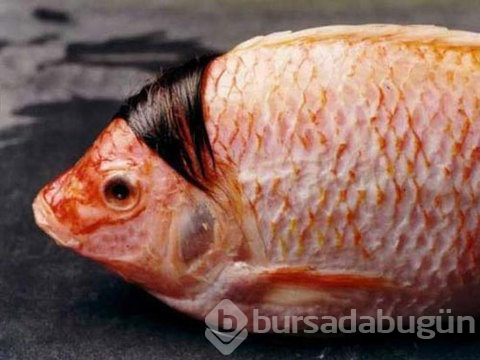 Sanal alemin en tuhafları..
