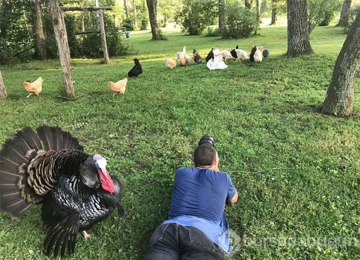 Muhteşem fotoğrafların gerçek halleri şaşırtıyor