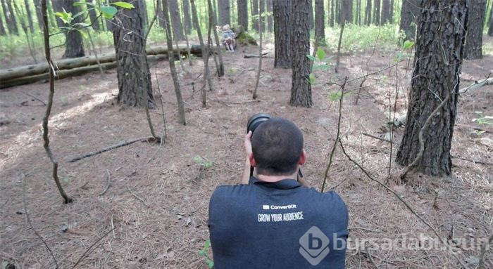 Muhteşem fotoğrafların gerçek halleri şaşırtıyor