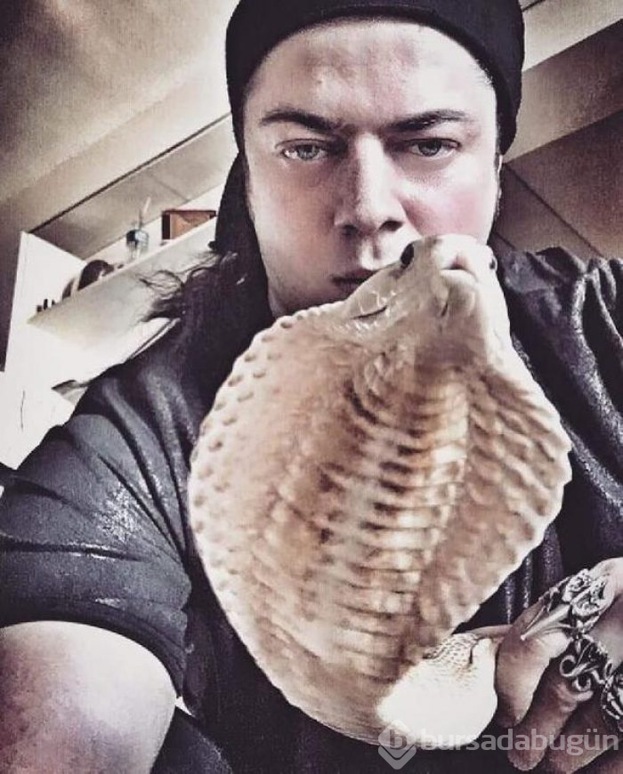 Aref'i kobra ısırdı
