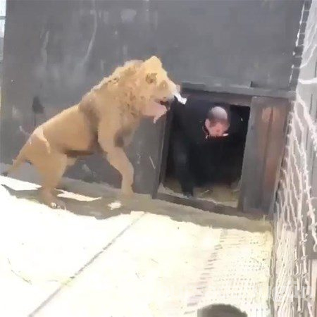 Doğadan ilginç anlar
