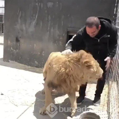 Doğadan ilginç anlar
