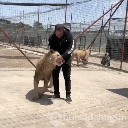 Doğadan ilginç anlar
