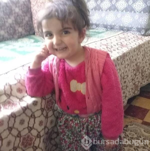 Minik Evrim her yerde aranıyor