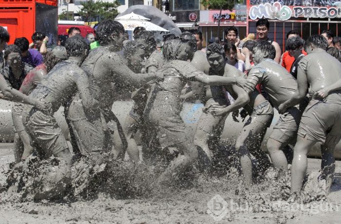 Güney Kore'de çamur festivali